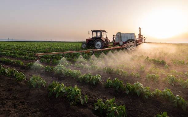Professional Pest Control in Marmaduke, AR